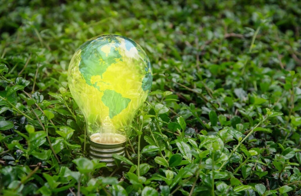 Green LightBulb in Grass